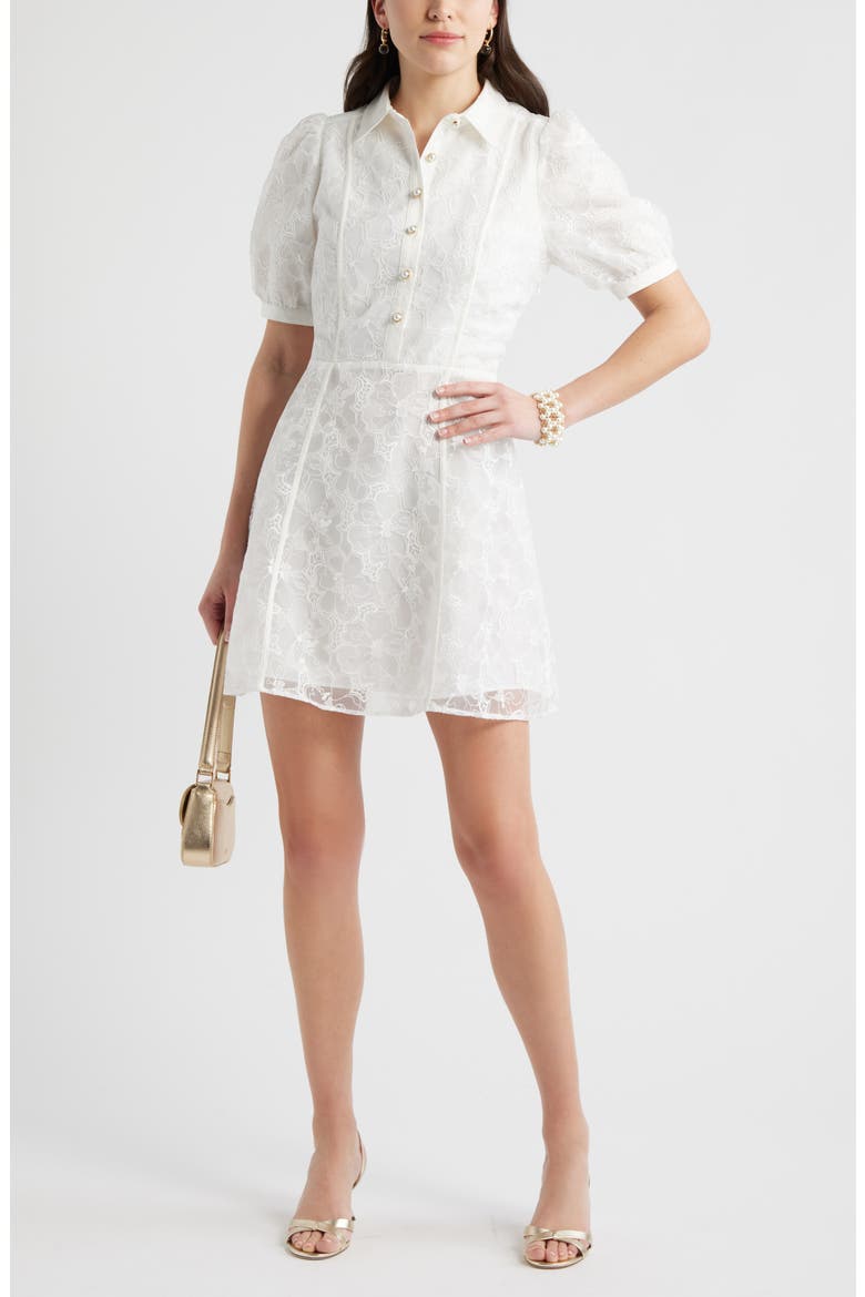 Floral Embroidered Puff Sleeve Minidress, Alternate, color, IVORY CLOUD