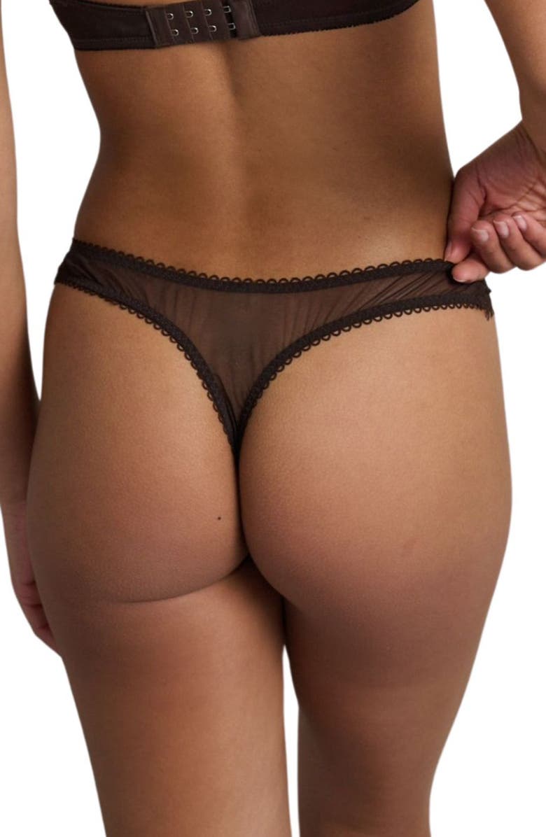Kat The Label Sorrento Lace Trim Thong, Alternate, color, Espresso
