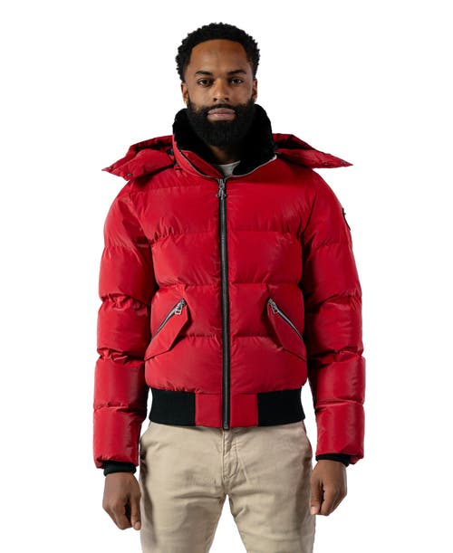 Woodpecker Woody Bomber Quilted Coat In Red