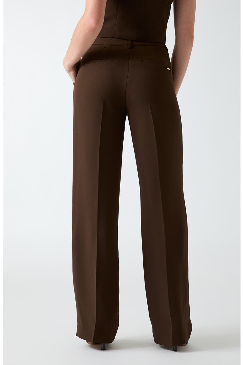 Theoline Perfect Pleated Pants, Alternate, color, BROWN