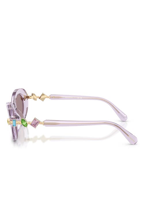Swarovski 53mm Oval Sunglasses