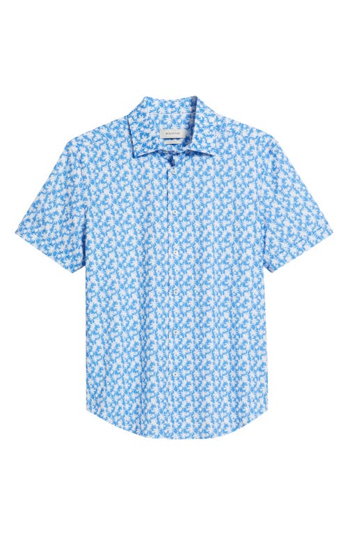 Bugatchi Miles Ooohcotton® Palm Tree Print Short Sleeve Button-up Shirt In Classic Blue