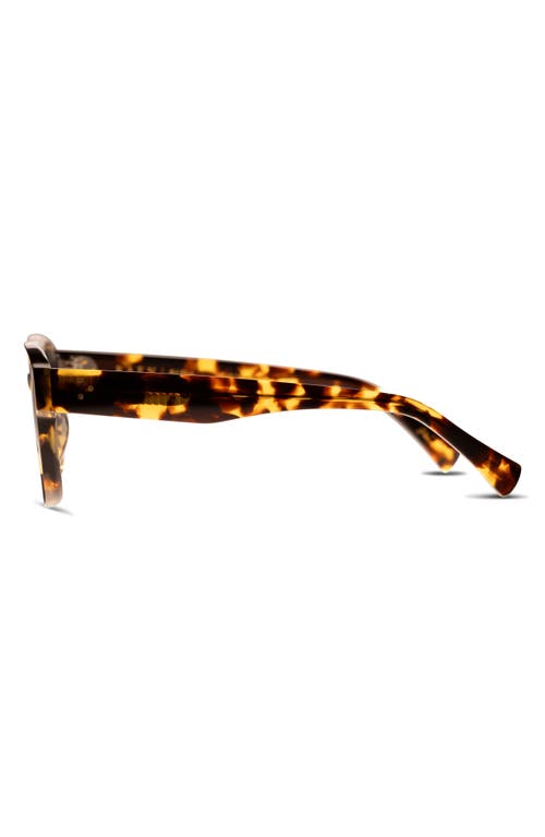 Raen Rifka 54mm Square Sunglasses In Brown