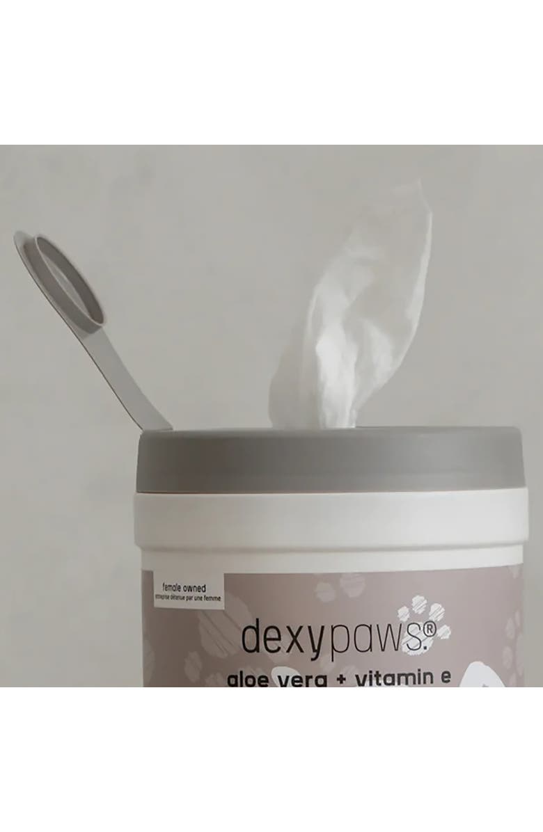 Dexypaws Pet Cleansing Wipes Canister, Aloe Vera & Vitamin E, 200ct, Alternate, color, Multicolored