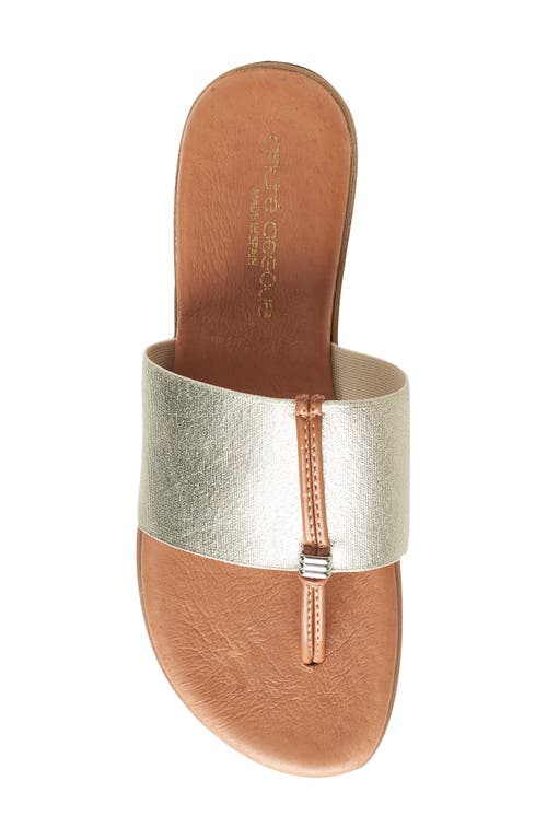 Andre Assous André Assous Nice Featherweights™ Slide Sandal