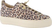 Paul Green Zena Platform Sneaker