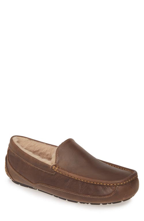 Ugg(r) Ascot Leather Slipper In Brown