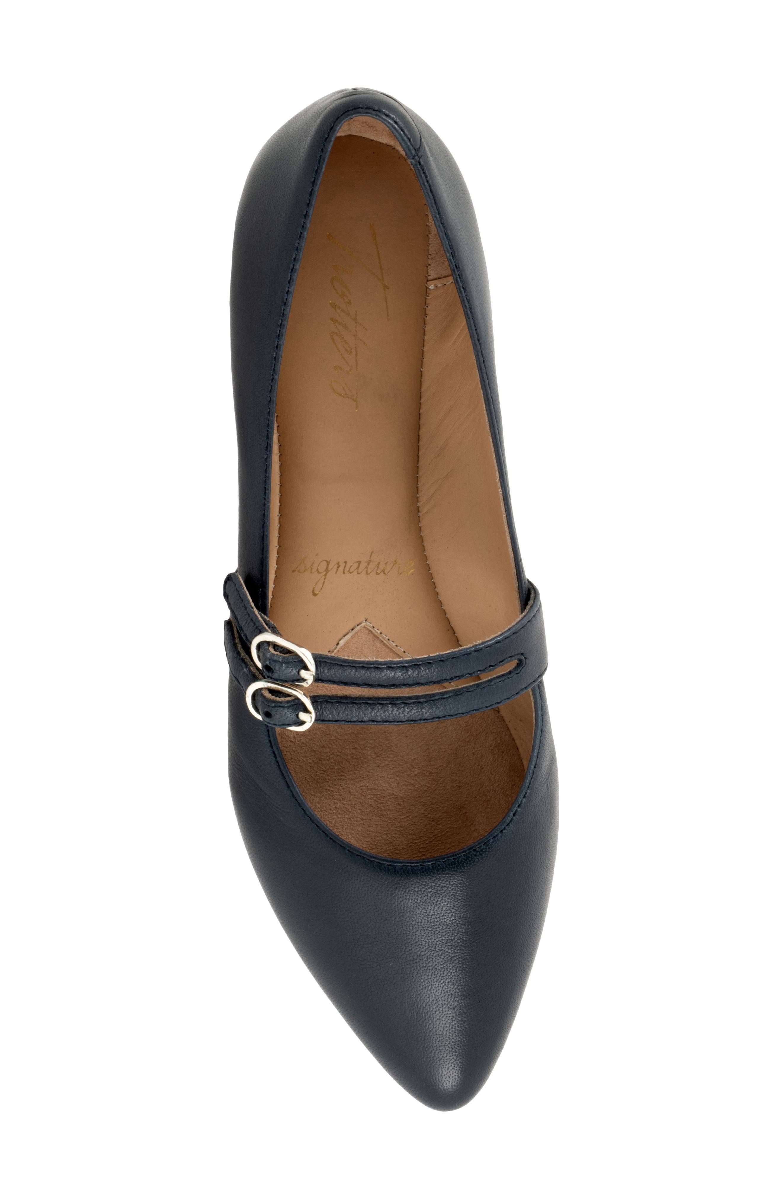 Emerald Pointed Toe Mary Jane Flat, Alternate, color, NAVY