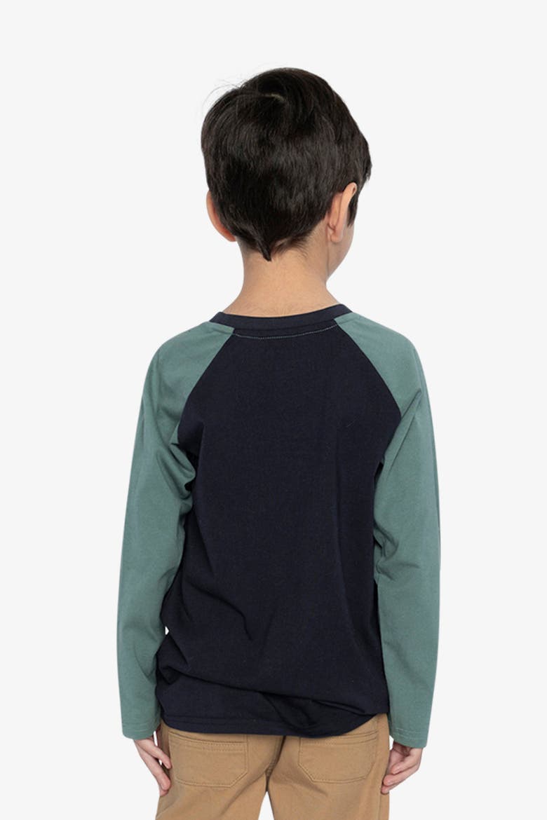 Bear Ribbed Crew Neck Raglan Sleeves T-Shirt, Alternate, color, Dark Blue and Green