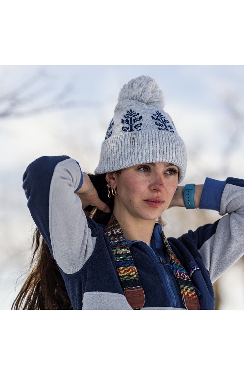 Turtle Fur Freya Pom Beanie, Alternate, color, Ash