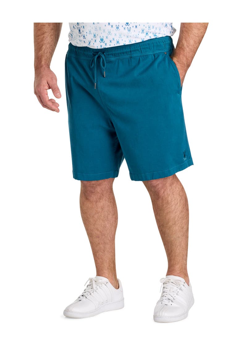 Big & Tall Willis Stretch Shorts, Main, color, MALLARD BLUE