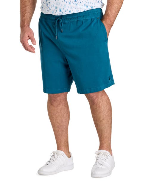Big & Tall Willis Stretch Shorts