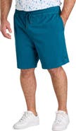 Psycho Bunny Big & Tall Willis Stretch Shorts