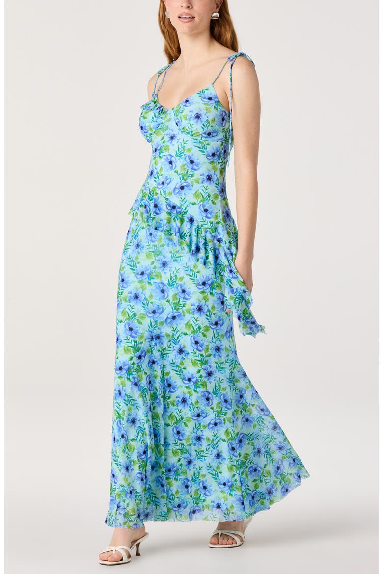 Mejra Floral Print Maxi Skirt, Alternate, color, BLUE FLORAL