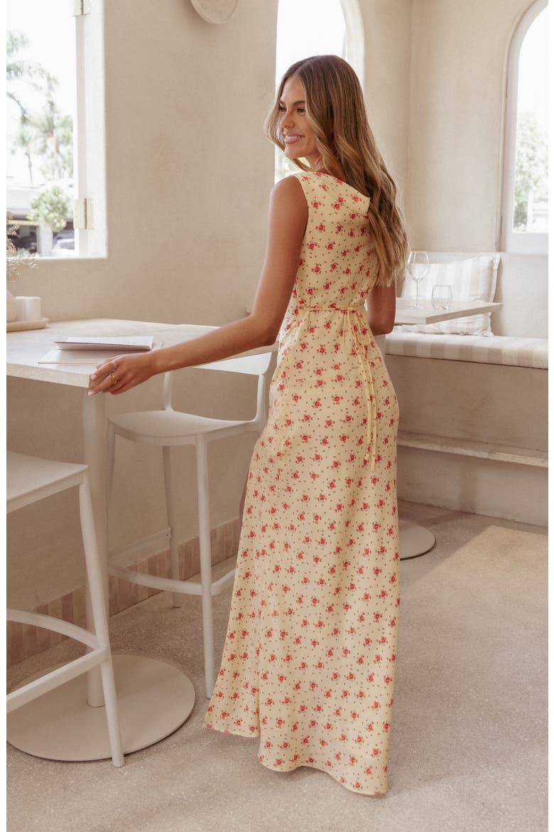 Alima Sleeveless Maxi Dress, Alternate, color, YELLOW FLORAL
