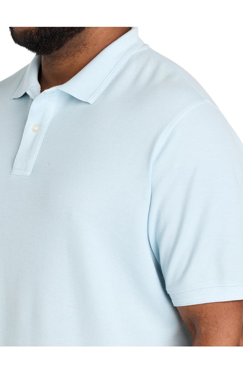 True Nation by DXL Big & Tall Garment-Dyed Polo Shirt, Alternate, color, Forget Me Knot