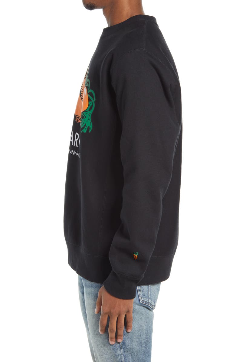 CARROTS BY ANWAR CARROTS Graphic Sweatshirt, Alternate, color,