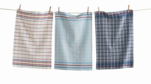 Tag American Check Dishtowel Set Of 3 In Multi