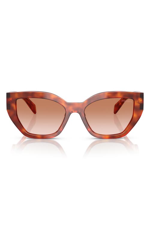 Prada 53mm Butterfly Polarized Sunglasses In Brown Gradient