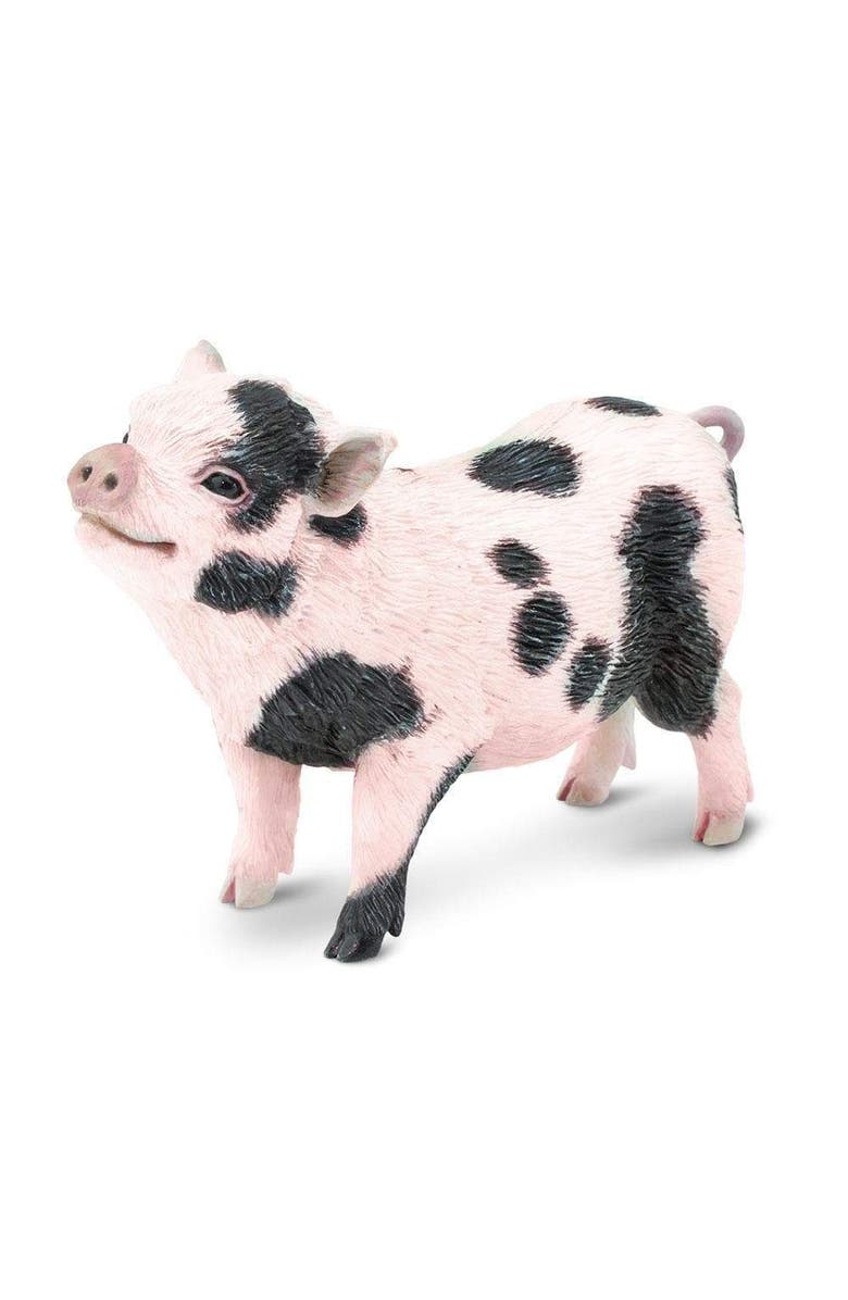 Safari Ltd. Pot-Bellied Pig Toy, Main, color, NO COLOR