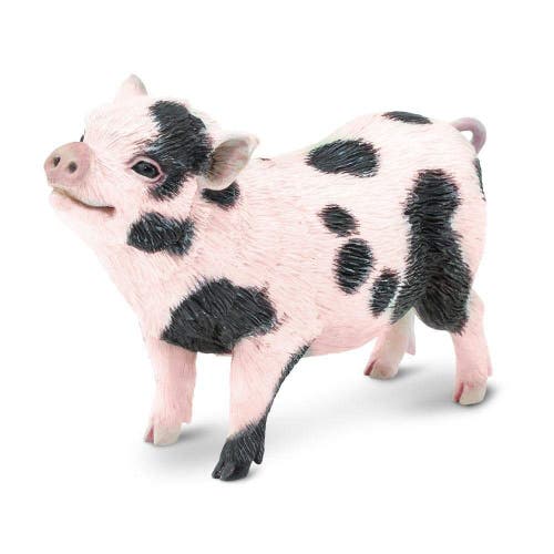 Safari Ltd. Kids'  Pot-bellied Pig