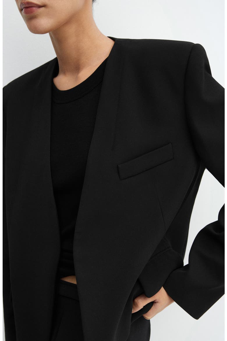 Padded Shoulder Collarless Jacket, Alternate, color, BLACK