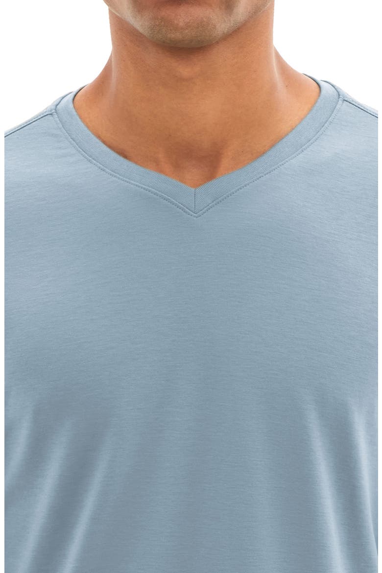 Georgia Regular Fit V-Neck T-Shirt, Alternate, color, DOVER BLUE