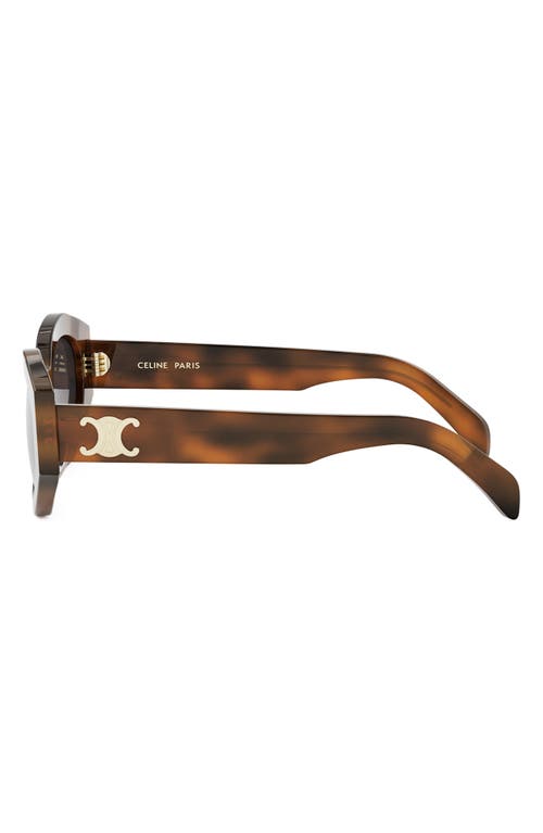 Celine Triomphe 54mm Cat Eye Sunglasses In Brown