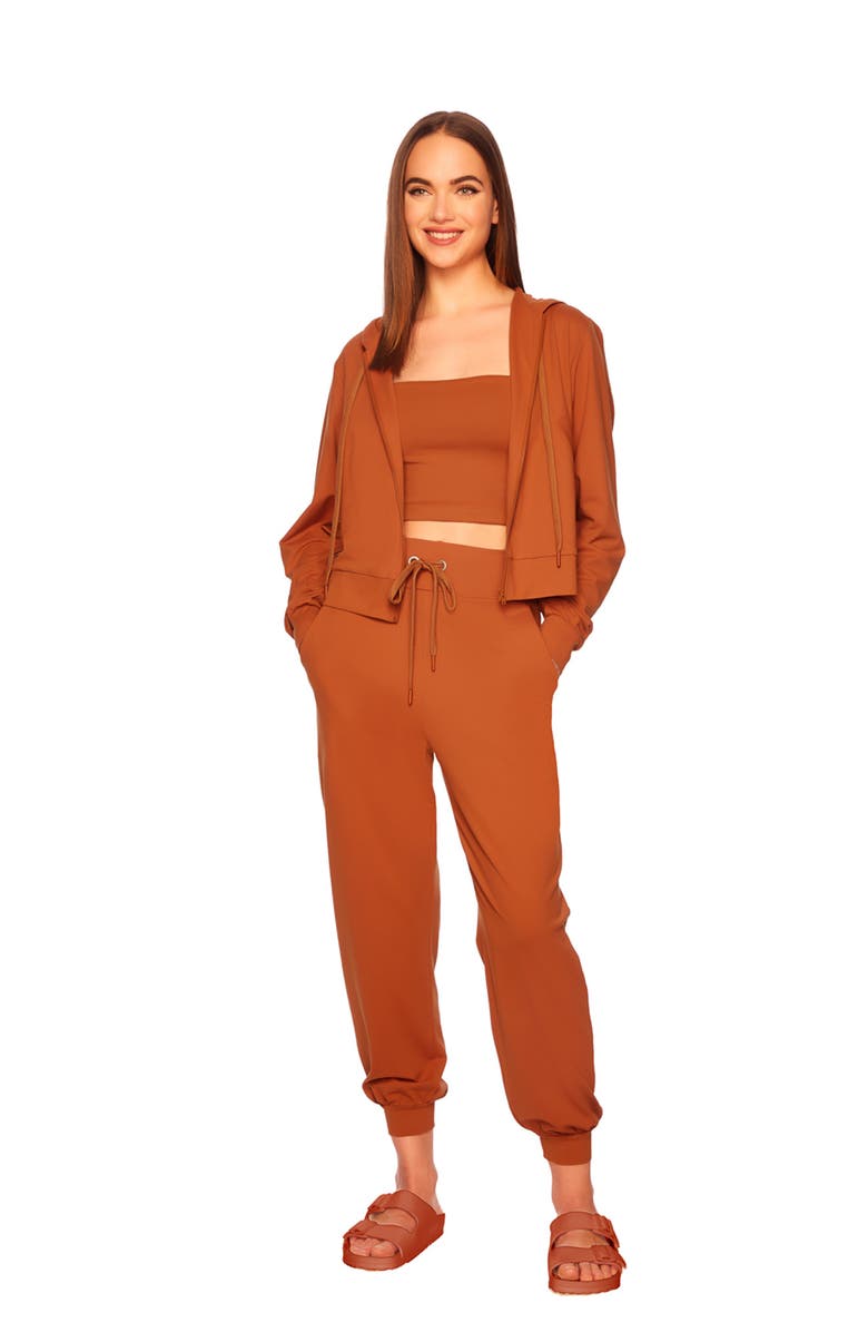 Susana Monaco Front Zip Crop Hoodie, Alternate, color, Umber