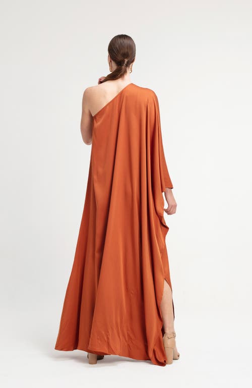 Diarrablu Satu Dress In Solid Rust