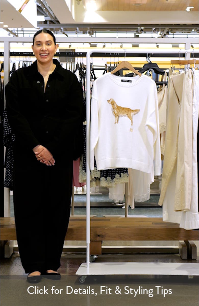 Intarsia Dog Sweater, sales video thumbnail