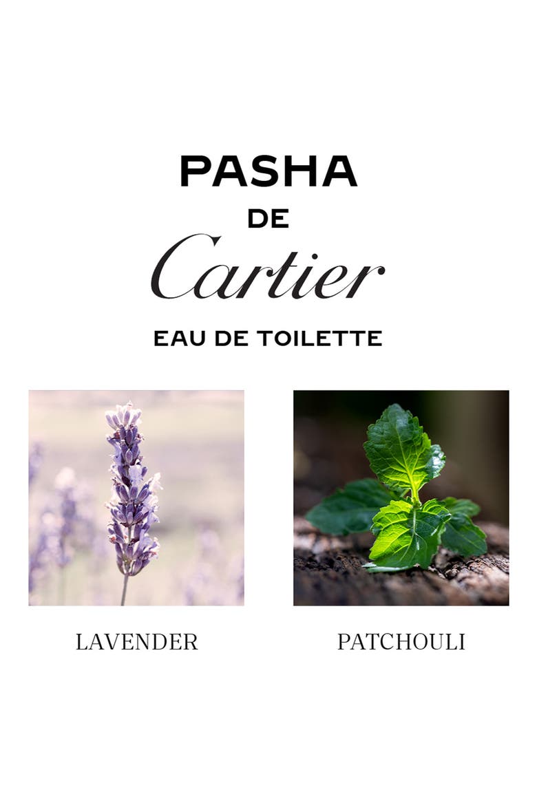 Pasha de Cartier Eau de Toilette, Alternate, color, NO COLOR