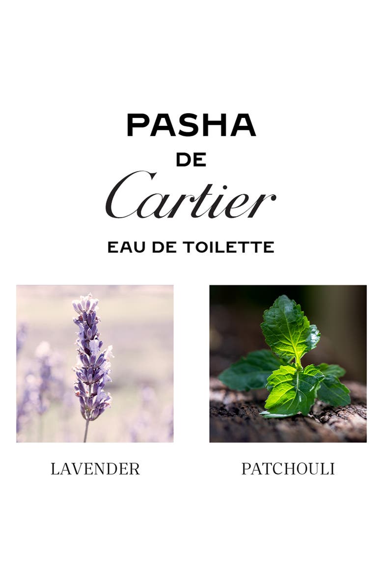 Cartier Pasha de Cartier Eau de Toilette, Alternate, color,