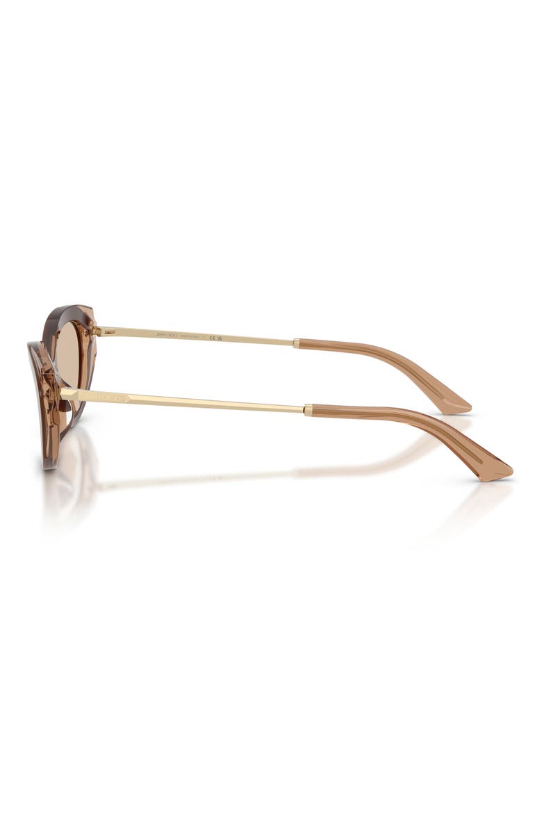 54mm Cat Eye Sunglasses, Alternate, color, BROWN/ TAN / LIGHT BROWN