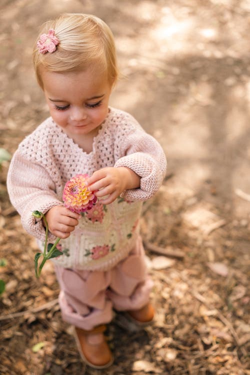 Wild Wawa Patchwork Sweater In Pink