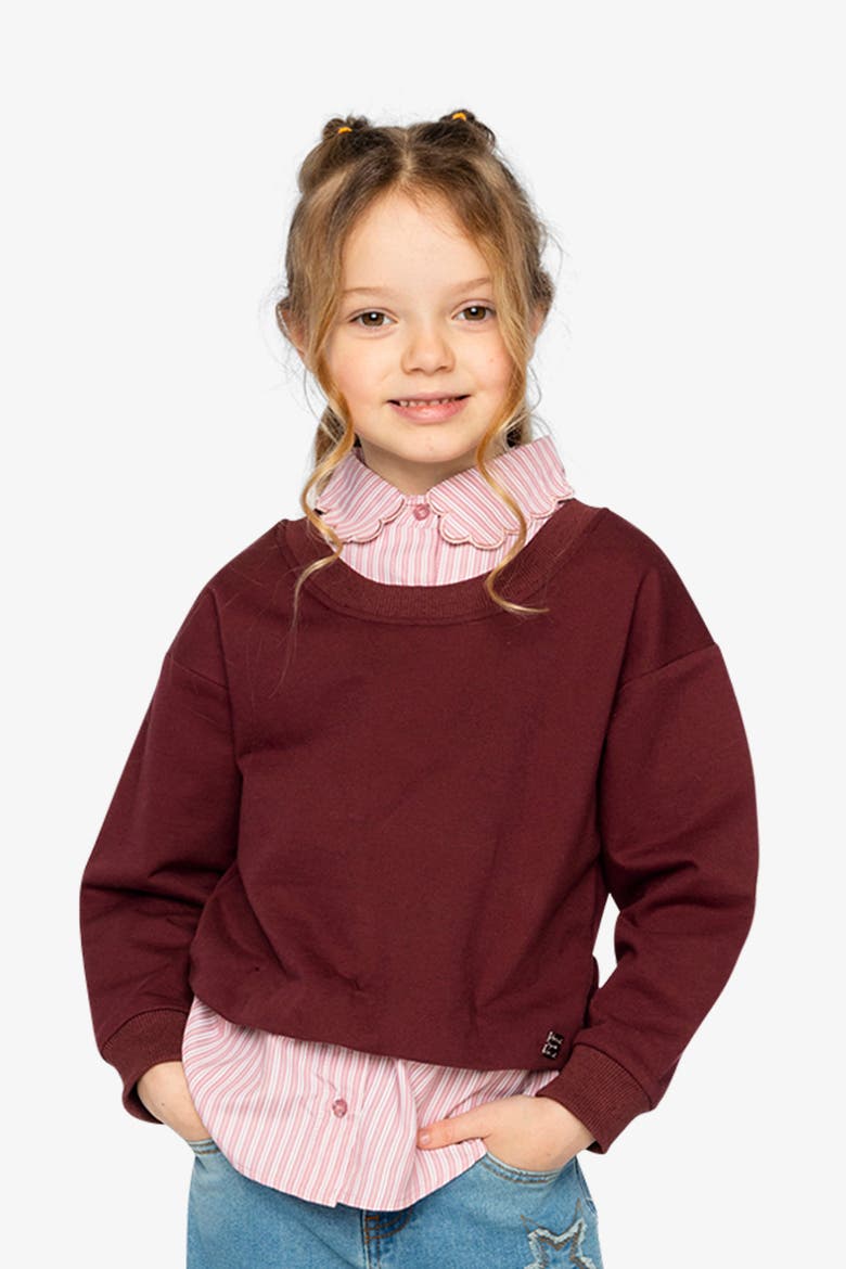 Fake Two Layer French Terry Layered Collar Sweater, Alternate, color, Reddish-Brown