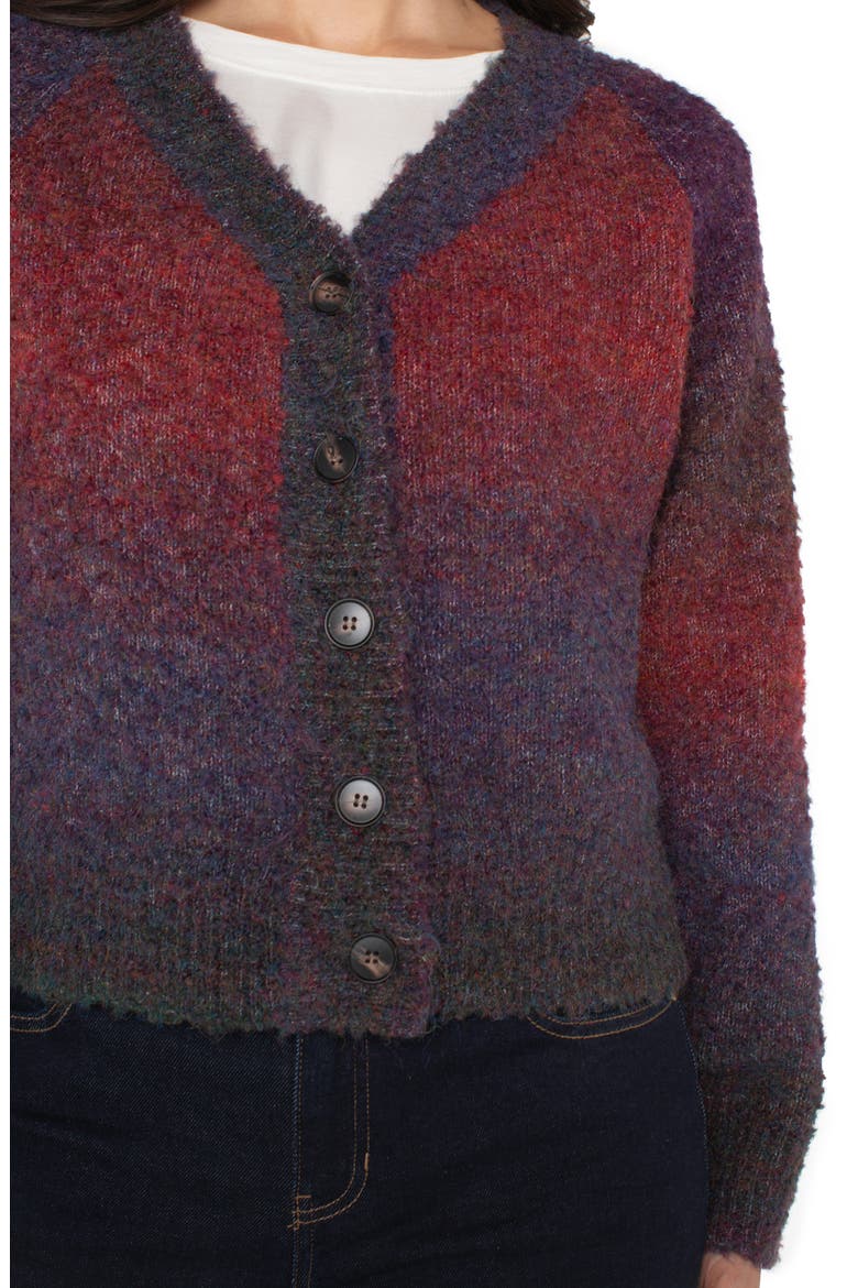 Raglan Sleeve Cardigan, Alternate, color, BERRY / BURGUNDY OMBRE