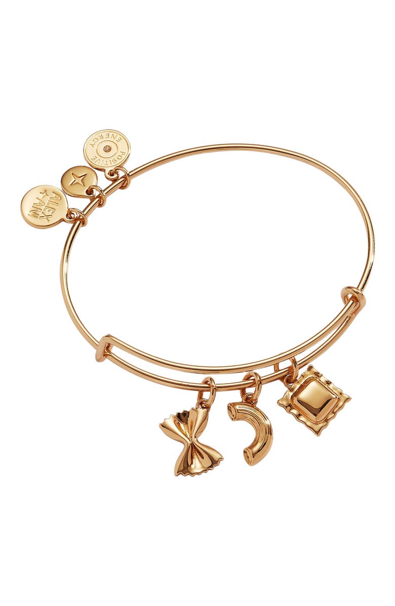Alex and Ani Bangle Bracelet Multi Charm Pasta, Main, color, 
