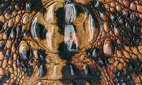 Brahmin Aliza Croc Embossed Leather Tote