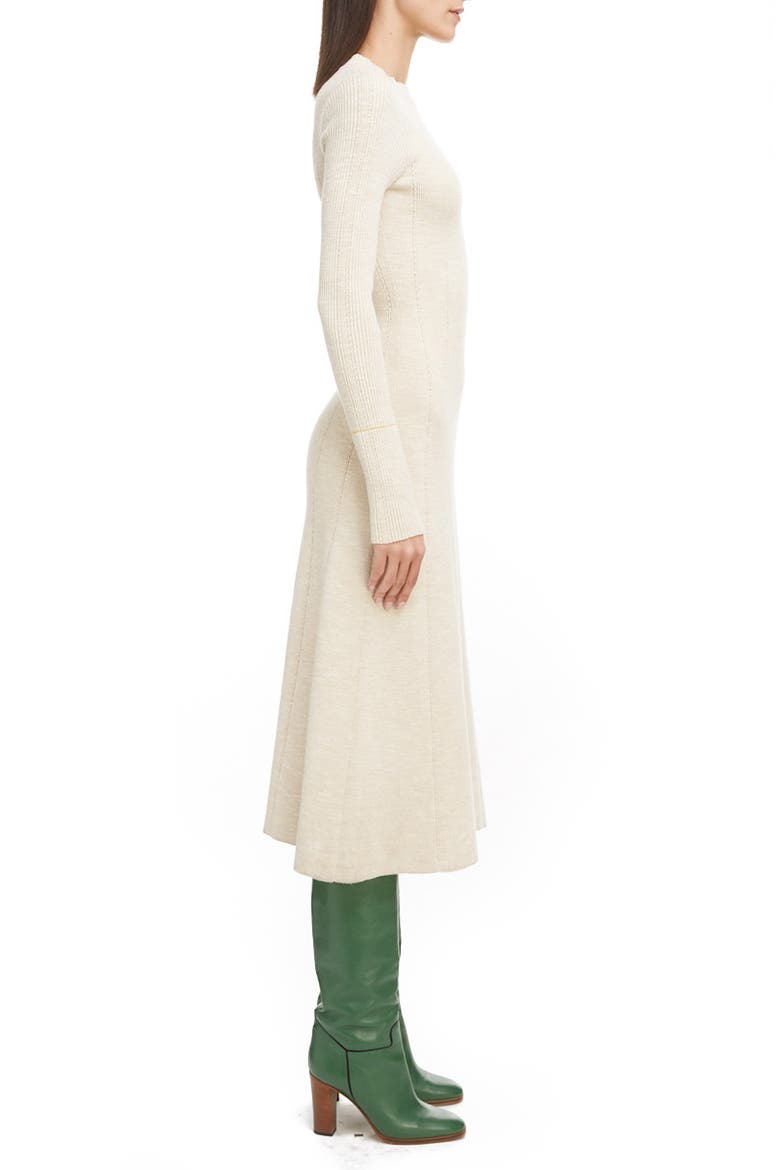 Long Sleeve Fit & Flare Sweater Dress, Alternate, color, BISCUIT/ LEMON