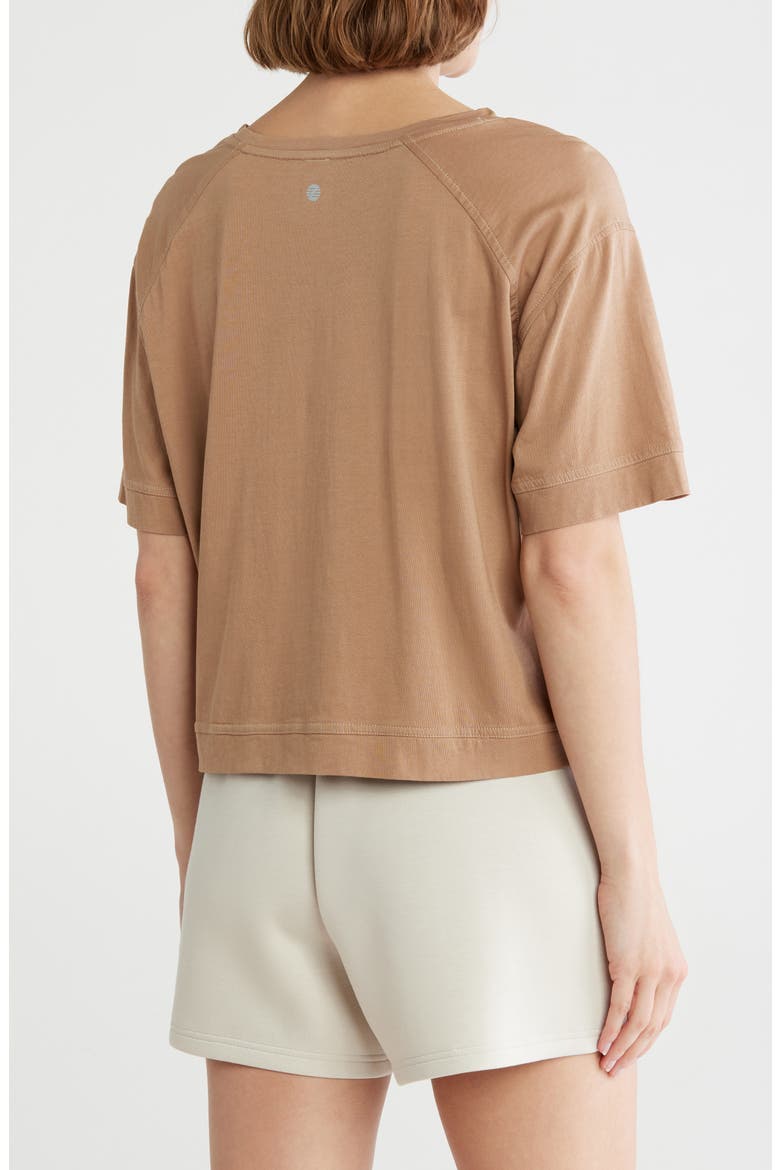 Vintage Wash Boxy Tee, Alternate, color, TAN PORTABELLA