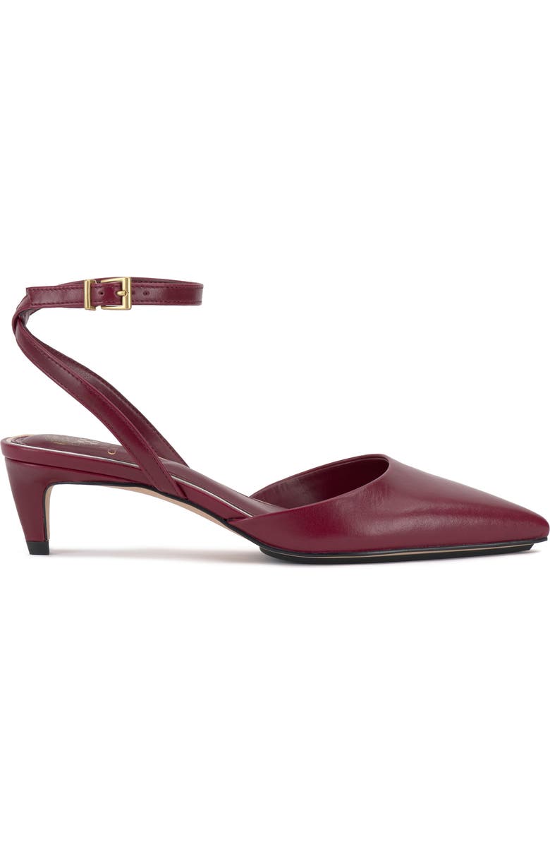Vince Camuto Irva Ankle Strap Pointed Toe Pump, Alternate, color, Chianti