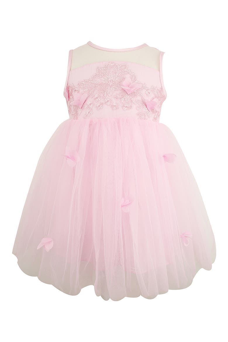 Embroidered Mesh & Tulle Dress, Main, color, PINK
