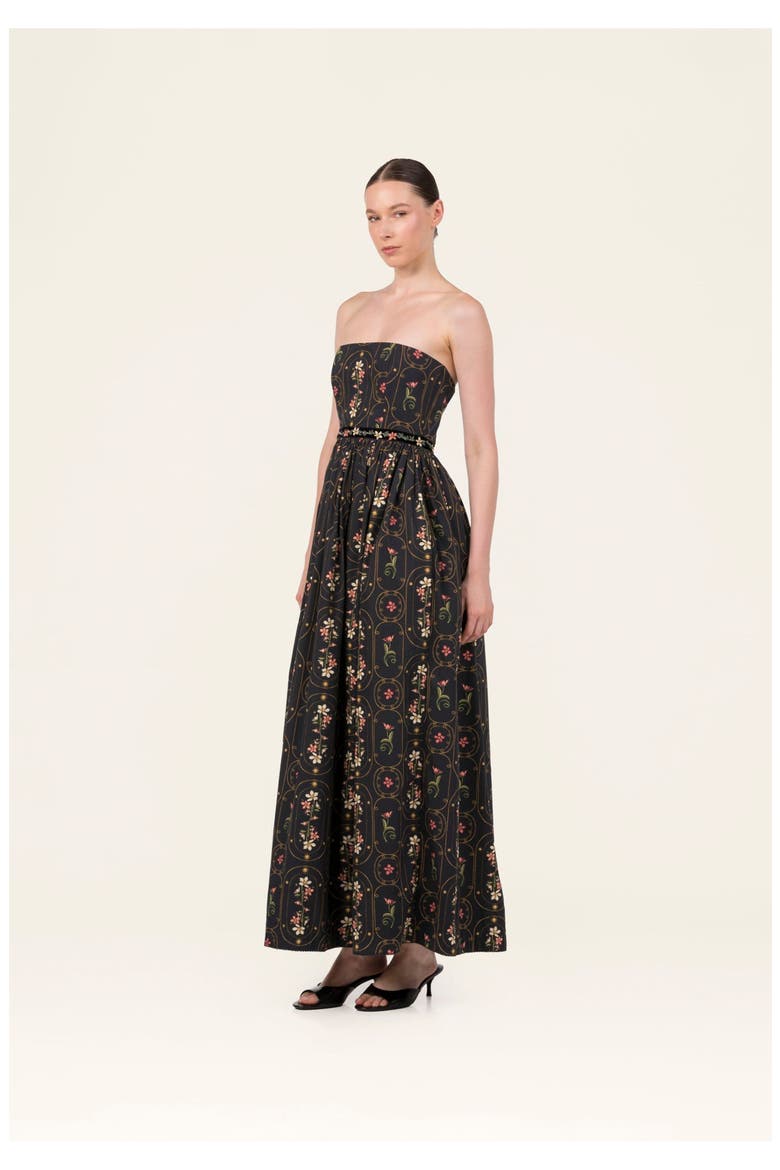 Lienzo Noche Maxi Dress, Alternate, color, Black