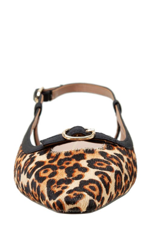 Linea Paolo Cassidy Pointed Toe Slingback Flat