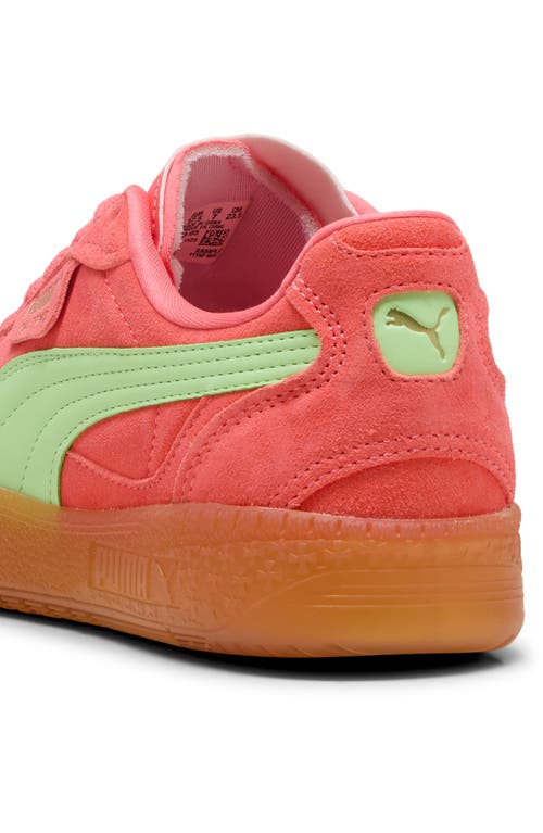 PUMA PUMA PALERMO MODA XTRA GUM RUBBER SNEAKER
