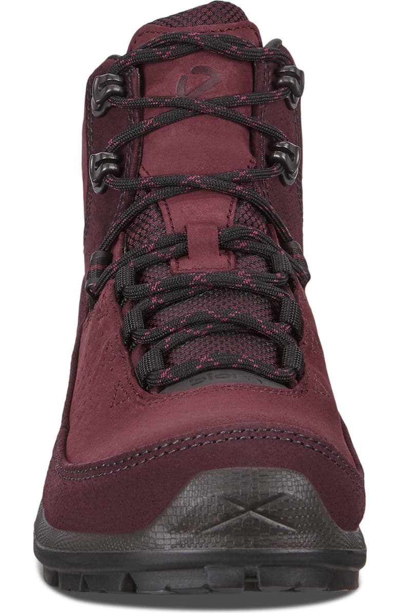 ECCO Biom Terrain Gore-Tex<sup>®</sup> Waterproof Hiking Boot, Alternate, color,