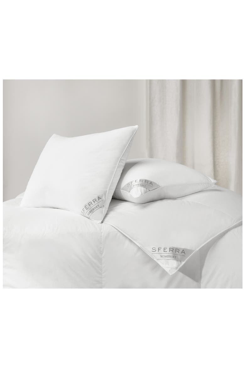 Somerset King Polish Goose Down Pillow, Alternate, color, WHITE