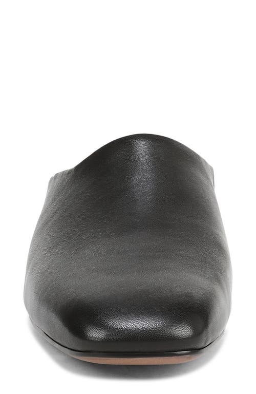 Franco Sarto Daley Mule In Black