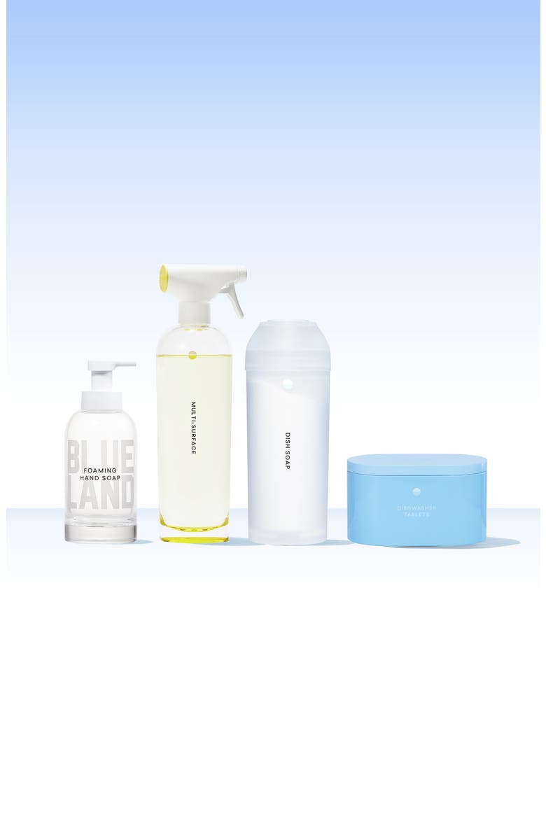 The Clean Kitchen Kit, Main, color, MULTI